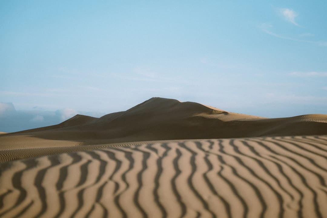 白玫瑰大结局 真凶浮出水面